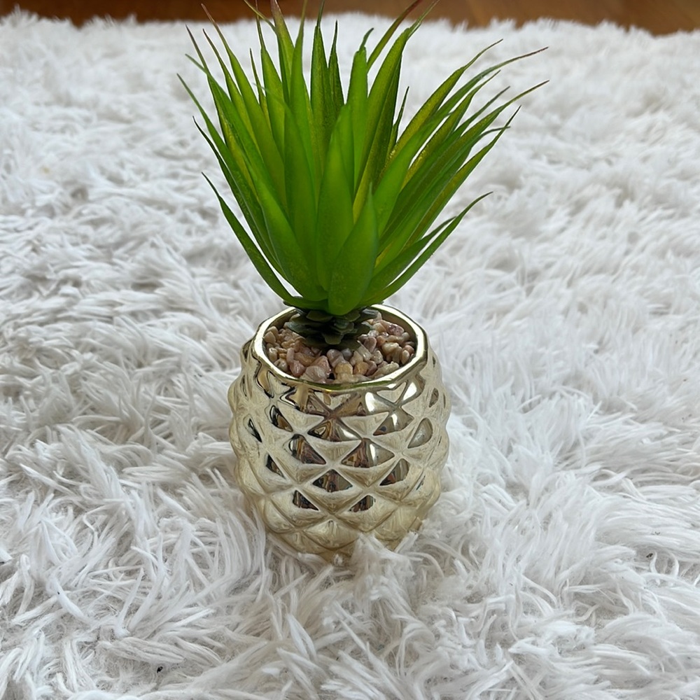 Pineapple Fake Plant!!🍍🍍